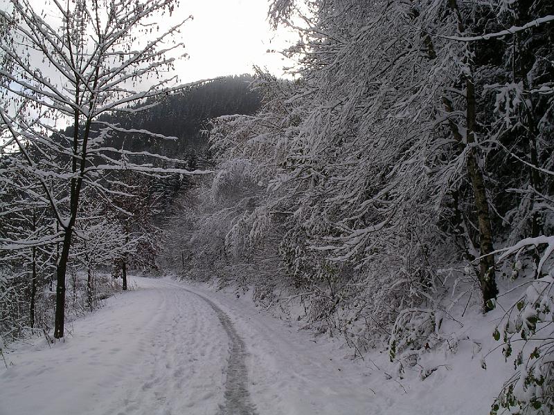 Winter 17.jpg